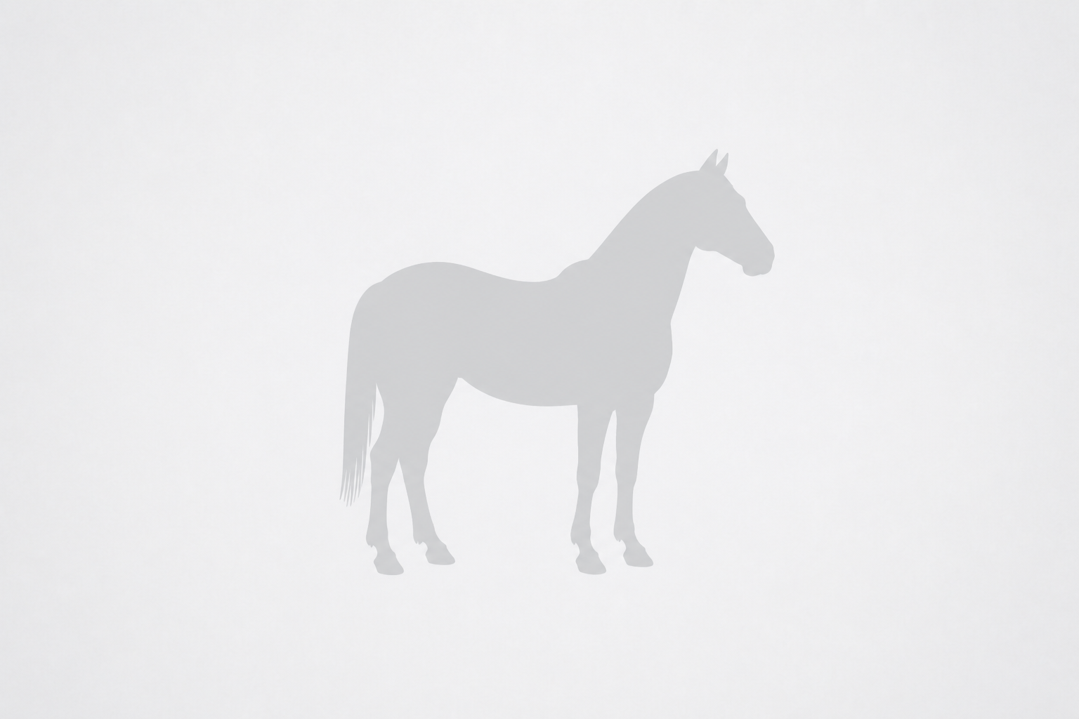 Illustration d’un cheval